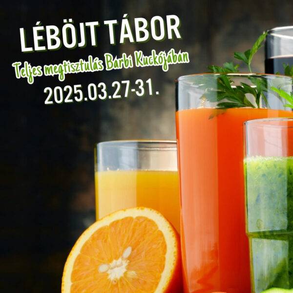 Tavaszi léböjt tábor a megtisztuláshoz a Vegán Blog szervezésében Barbi Kuckójában