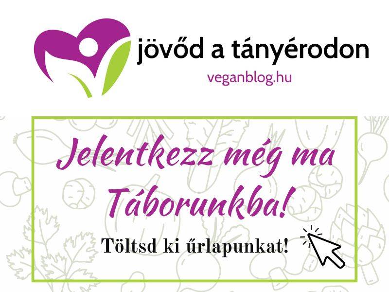 Jelentkezz vegán főzőtáborba a Vegán Blog megrendezésében.