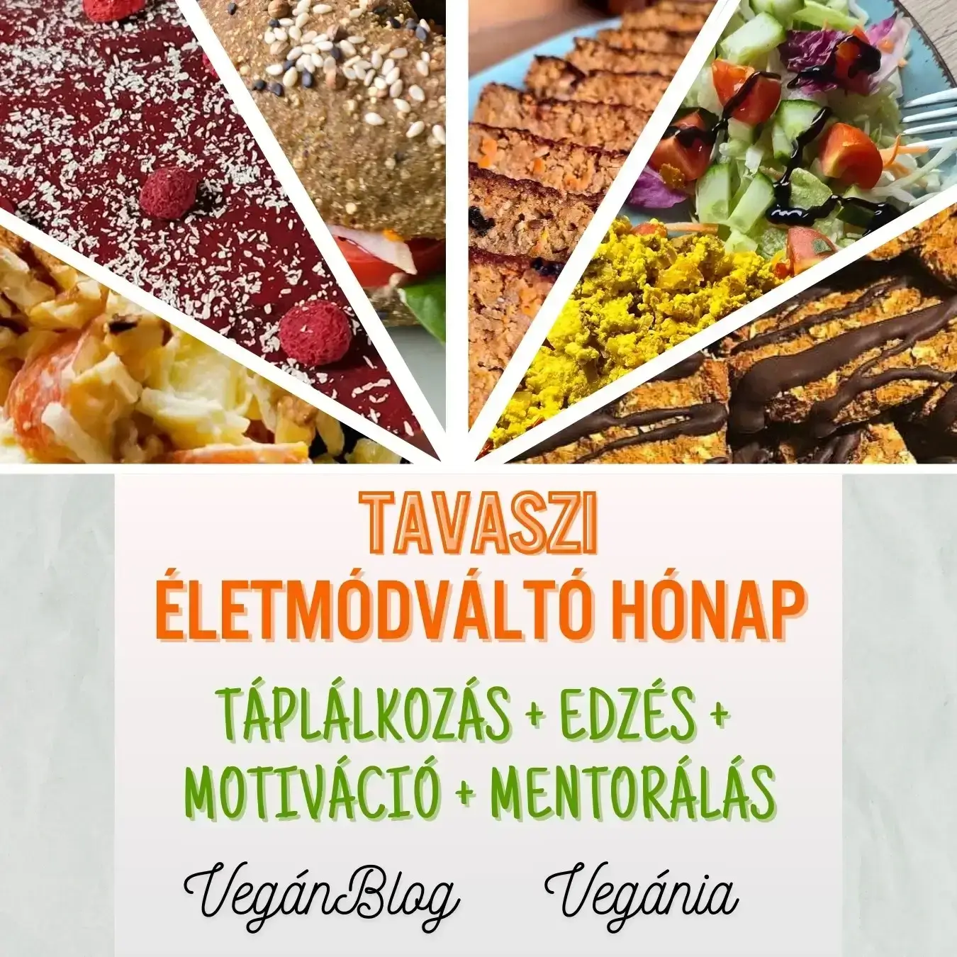 VegánBlog életmódváltó hónap részvétel, táplálkozás, edzés, motiváció, mentorálás