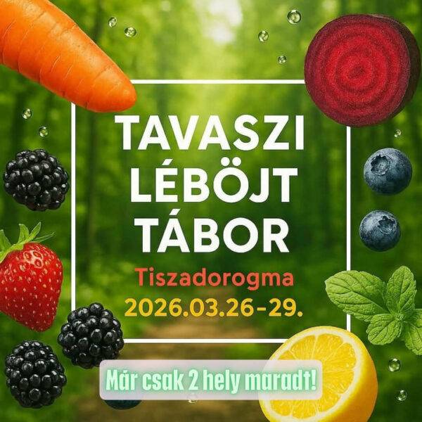 Tavaszi léböjt tábor